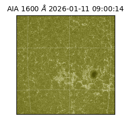 saia - 2026-01-11T09:00:14.130000