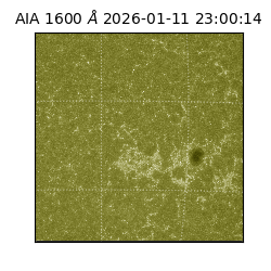 saia - 2026-01-11T23:00:14.130000