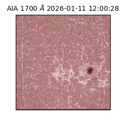 saia - 2026-01-11T12:00:28.720000