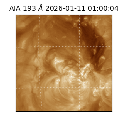 saia - 2026-01-11T01:00:04.844000