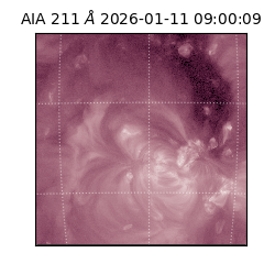 saia - 2026-01-11T09:00:09.630000