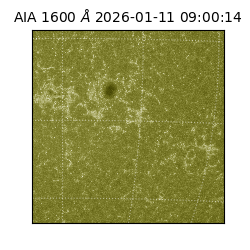 saia - 2026-01-11T09:00:14.130000