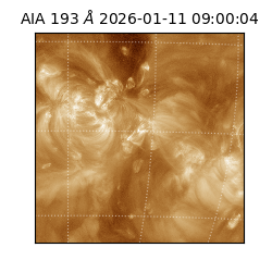 saia - 2026-01-11T09:00:04.840000