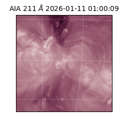 saia - 2026-01-11T01:00:09.626000