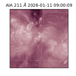 saia - 2026-01-11T09:00:09.630000