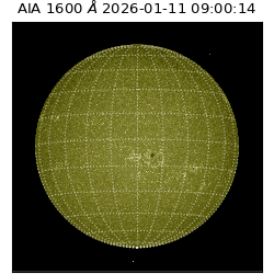 saia - 2026-01-11T09:00:14.130000