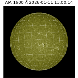 saia - 2026-01-11T13:00:14.130000