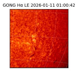 gong - 2026-01-11T01:00:42