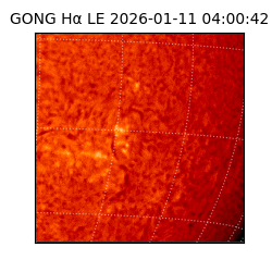 gong - 2026-01-11T04:00:42