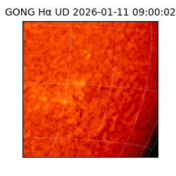 gong - 2026-01-11T09:00:02