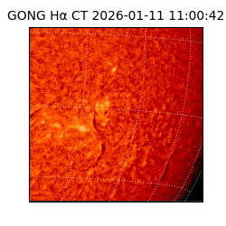 gong - 2026-01-11T11:00:42