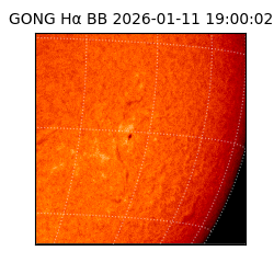 gong - 2026-01-11T19:00:02