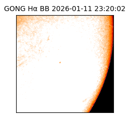 gong - 2026-01-11T23:20:02