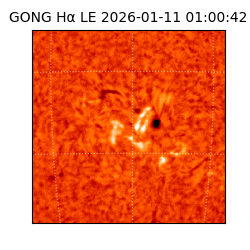 gong - 2026-01-11T01:00:42