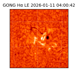 gong - 2026-01-11T04:00:42