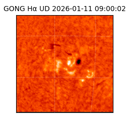 gong - 2026-01-11T09:00:02