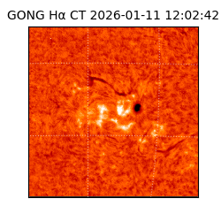 gong - 2026-01-11T12:02:42