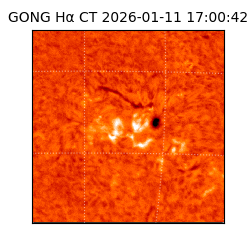 gong - 2026-01-11T17:00:42