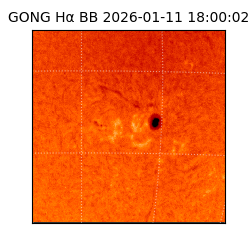 gong - 2026-01-11T18:00:02