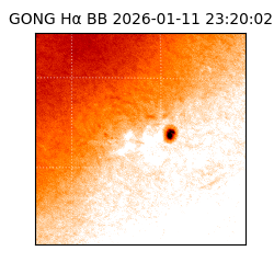gong - 2026-01-11T23:20:02