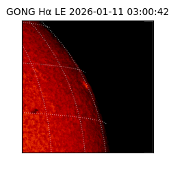 gong - 2026-01-11T03:00:42