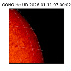 gong - 2026-01-11T07:00:02