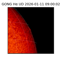 gong - 2026-01-11T09:00:02