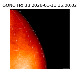 gong - 2026-01-11T16:00:02