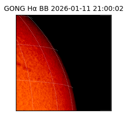 gong - 2026-01-11T21:00:02