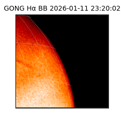 gong - 2026-01-11T23:20:02