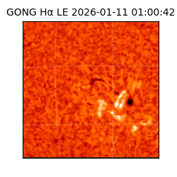 gong - 2026-01-11T01:00:42