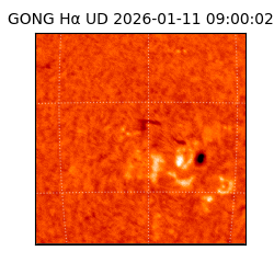 gong - 2026-01-11T09:00:02