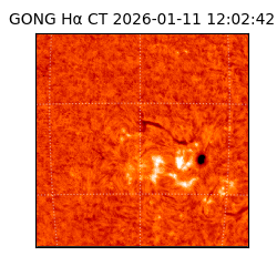 gong - 2026-01-11T12:02:42