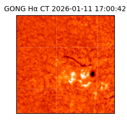 gong - 2026-01-11T17:00:42