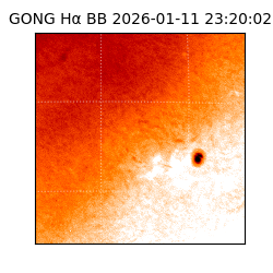 gong - 2026-01-11T23:20:02