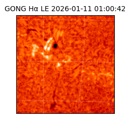 gong - 2026-01-11T01:00:42