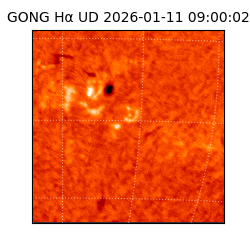 gong - 2026-01-11T09:00:02
