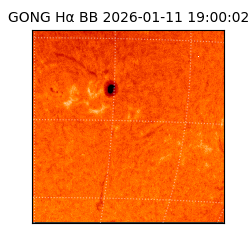 gong - 2026-01-11T19:00:02