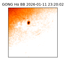 gong - 2026-01-11T23:20:02