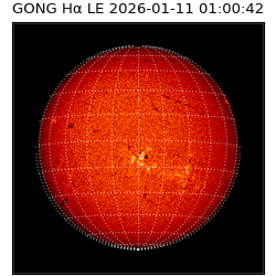 gong - 2026-01-11T01:00:42