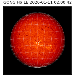 gong - 2026-01-11T02:00:42