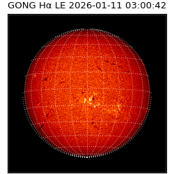 gong - 2026-01-11T03:00:42