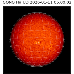 gong - 2026-01-11T05:00:02