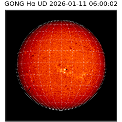 gong - 2026-01-11T06:00:02