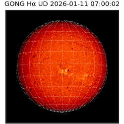 gong - 2026-01-11T07:00:02