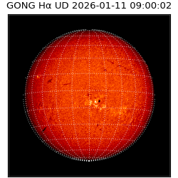 gong - 2026-01-11T09:00:02