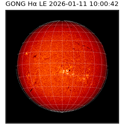 gong - 2026-01-11T10:00:42