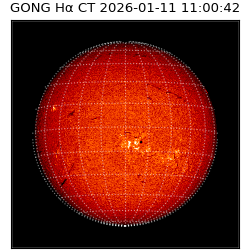 gong - 2026-01-11T11:00:42