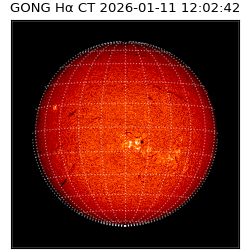 gong - 2026-01-11T12:02:42