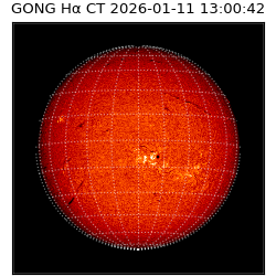 gong - 2026-01-11T13:00:42